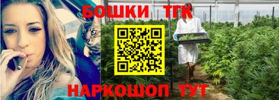 гидра Ставрополь