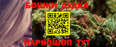 гидра Ставрополь