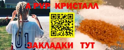 гидра Ставрополь