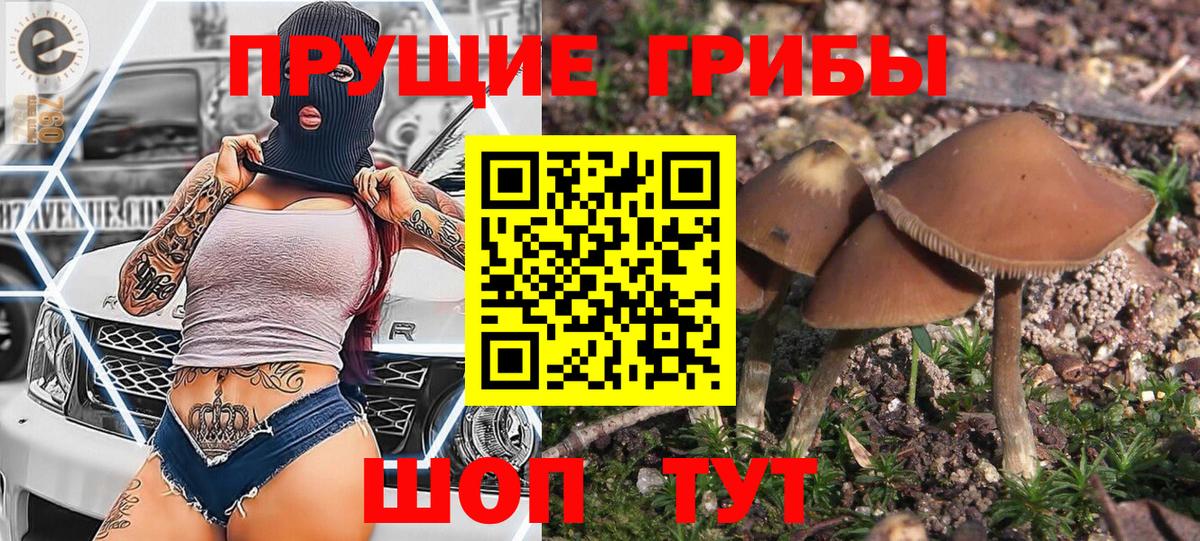 Галлюциногенные грибы ЛСД Нижний Новгород