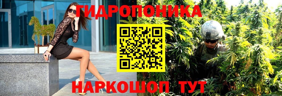 Шишки марихуана семена Нижний Новгород